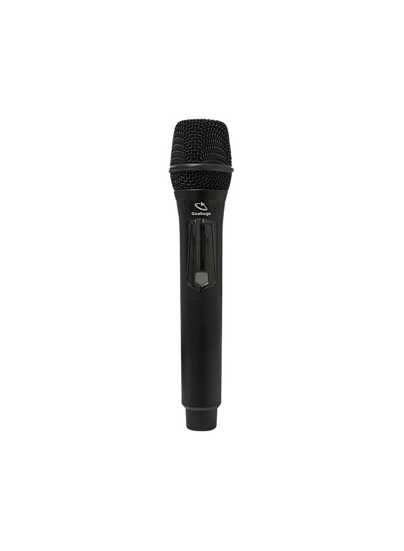 SP04 PartyTune Party Speaker including Remote Control and Wireless Microphone with High-Power Wireless Bluetooth Connection