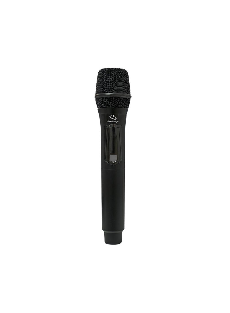 SP03 PowerBeat Party Speaker including Remote Control and Wireless Microphone with High-Power Wireless Bluetooth Connection